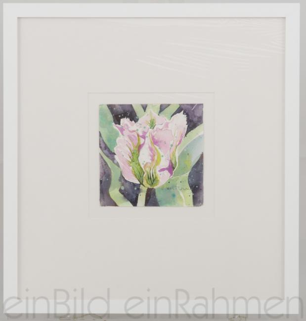 Tulpen “China Town“ Edith Thurnherr Aquarell Kleines Format von der Gallerie EinBild EinRahmen